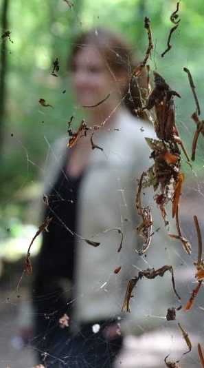 Unscharfes Bild einer Frau im Hintergrund, umgeben von Spinnennetz und Blättern.