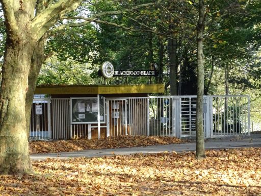 Holzhütte mit gelbem Dach, umgeben von Bäumen und Laub im Herbst.